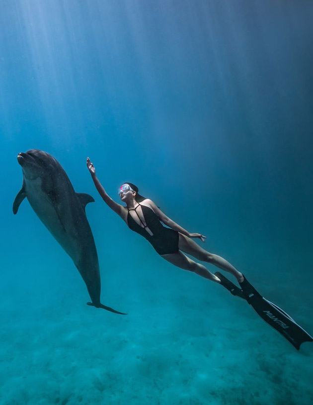 多伦多伴游服务