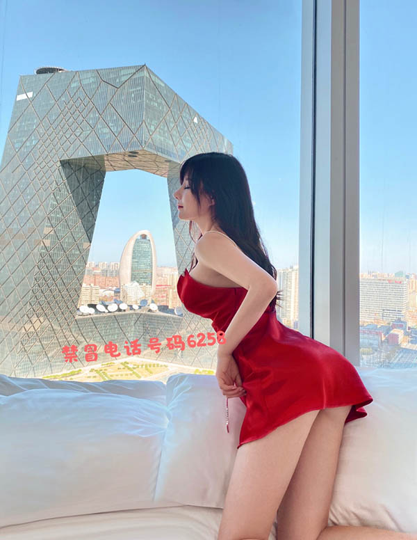 旧金山商务伴游